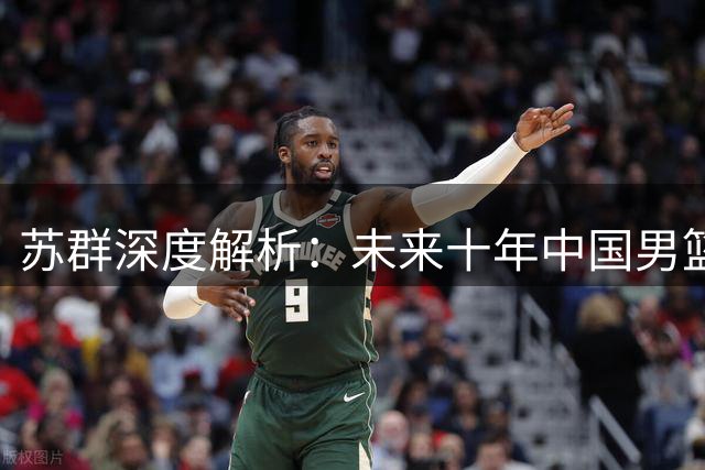 苏群深度解析：未来十年中国男篮归化之路全面受阻